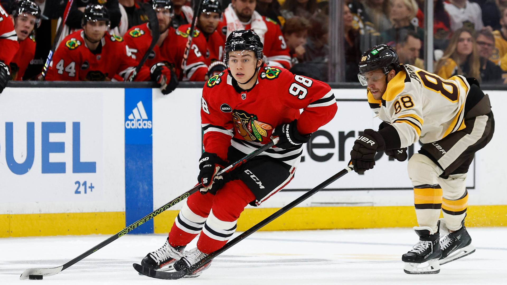 Projected Bruins-Blackhawks Lines: Berkshire Bank Hockey Night In N.E.