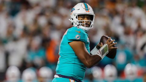 Cincinnati Bengals score vs Miami Dolphins live updates