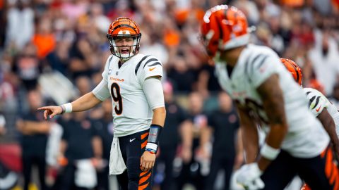 Bengals vs Buccaneers: Gold Star trolls Tom Brady via Twitter