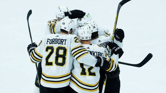 Boston Bruins, News & Stats, Hockey