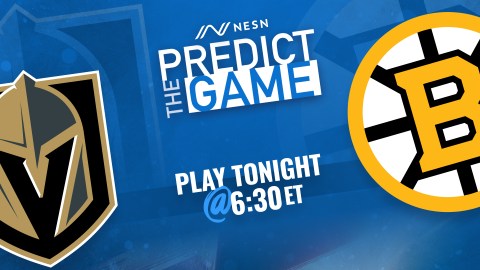 Vegas Golden Knights, Boston Bruins Predict the Game