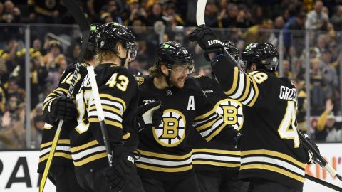 Boston Bruins forward David Pastrnak and teammates