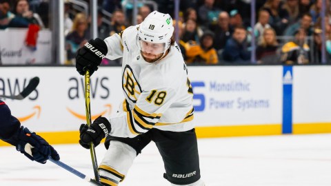 Boston Bruins forward Pavel Zacha