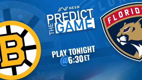 Boston Bruins-Florida Panthers Predict the Game