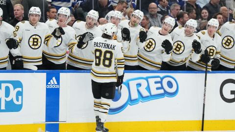 Boston Bruins right wing David Pastrnak