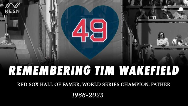 Tim Wakefield's tribute logo at Fenway Park