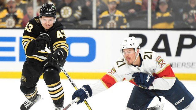 Boston Bruins forward Danton Heinen and Florida Panthers forward Nick Cousins