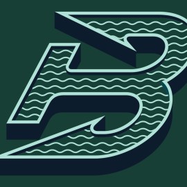 Boston Fleet logo