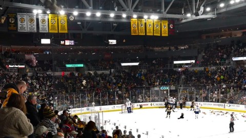 Providence Bruins