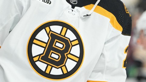 Boston Bruins logo