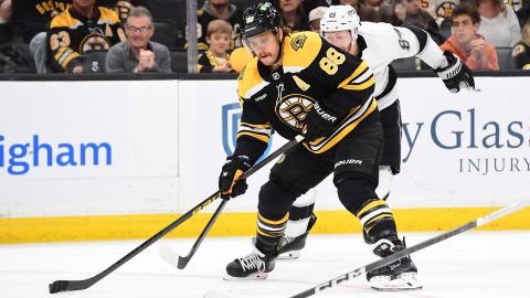 Boston Bruins forward David Pastrnak and Los Angeles Kings defenseman Vladislav Gavrikov