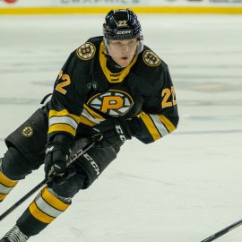 Providence Bruins forward Fabian Lysell