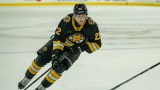 Providence Bruins forward Fabian Lysell