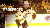 Providence Bruins forward Patrick Brown