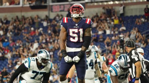 Arizona Cardinals linebacker Ronnie Perkins