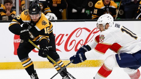 Boston Bruins forward Pavel Zacha and Florida Panthers forward A.J. Greer