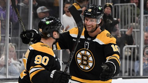 Boston Bruins forwards Tyler Johnson, Pavel Zacha