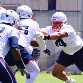 New England Patriots offensive lineman Michael Jordan, NFL guard Ryan Johnson