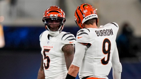 Cincinnati Bengals wide receiver Tee Higgins, Joe Burrow