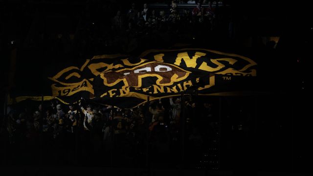 Boston Bruins banner