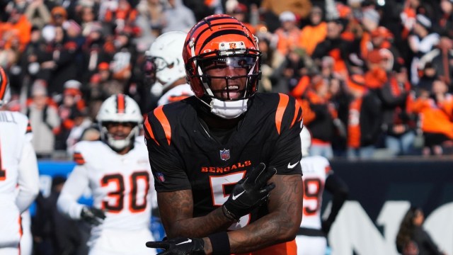 Cincinnati Bengals wide receiver Tee Higgins