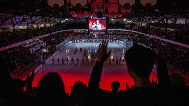 Northeastern's Matthews Arena